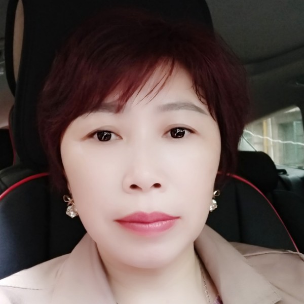 沉静演变红玫瑰的照片