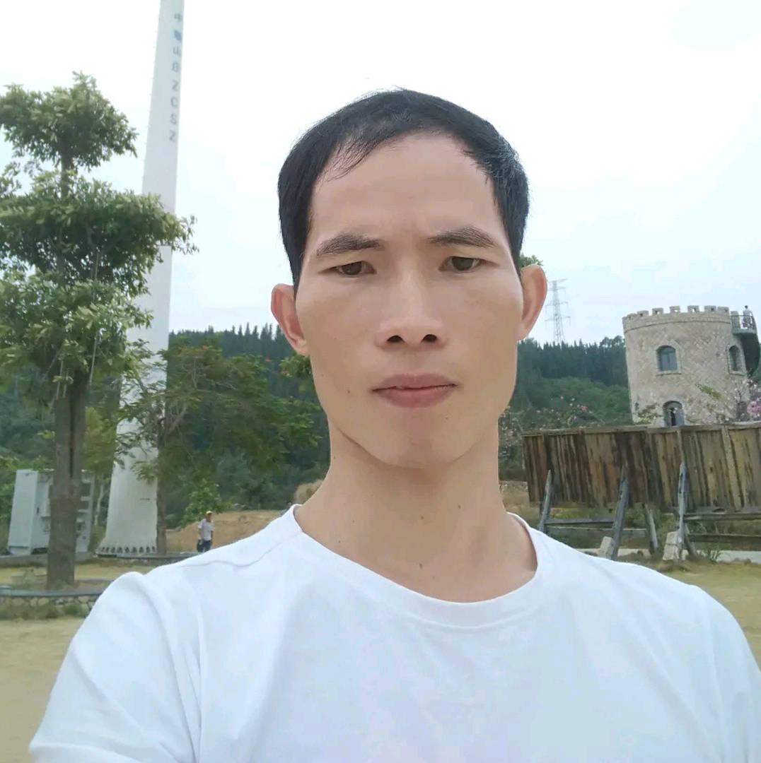靓丽的海燕的照片