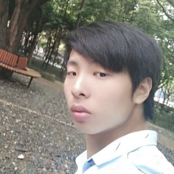 机智的树叶的照片