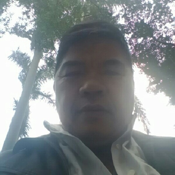 蜻蜓顺心的照片