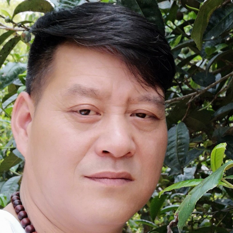 美好拾忆森槿的照片