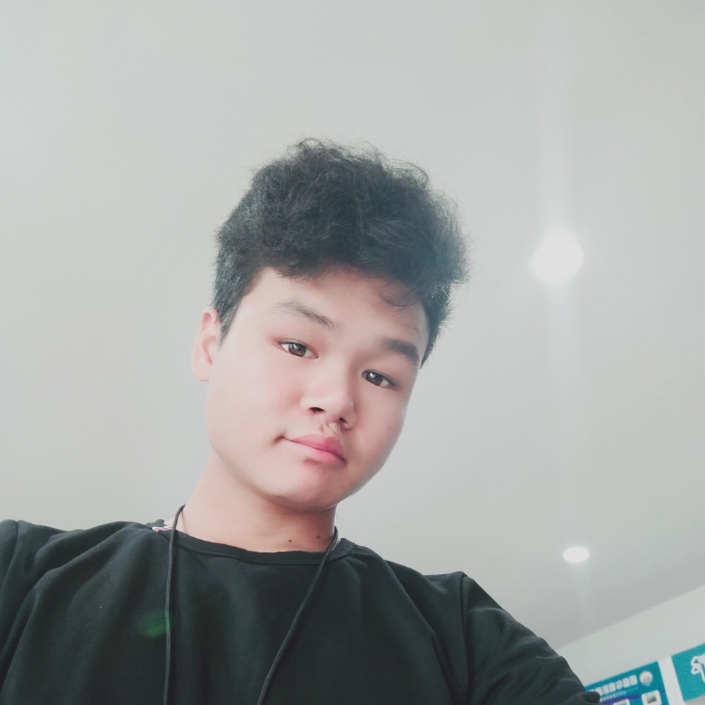 钢笔端庄的照片