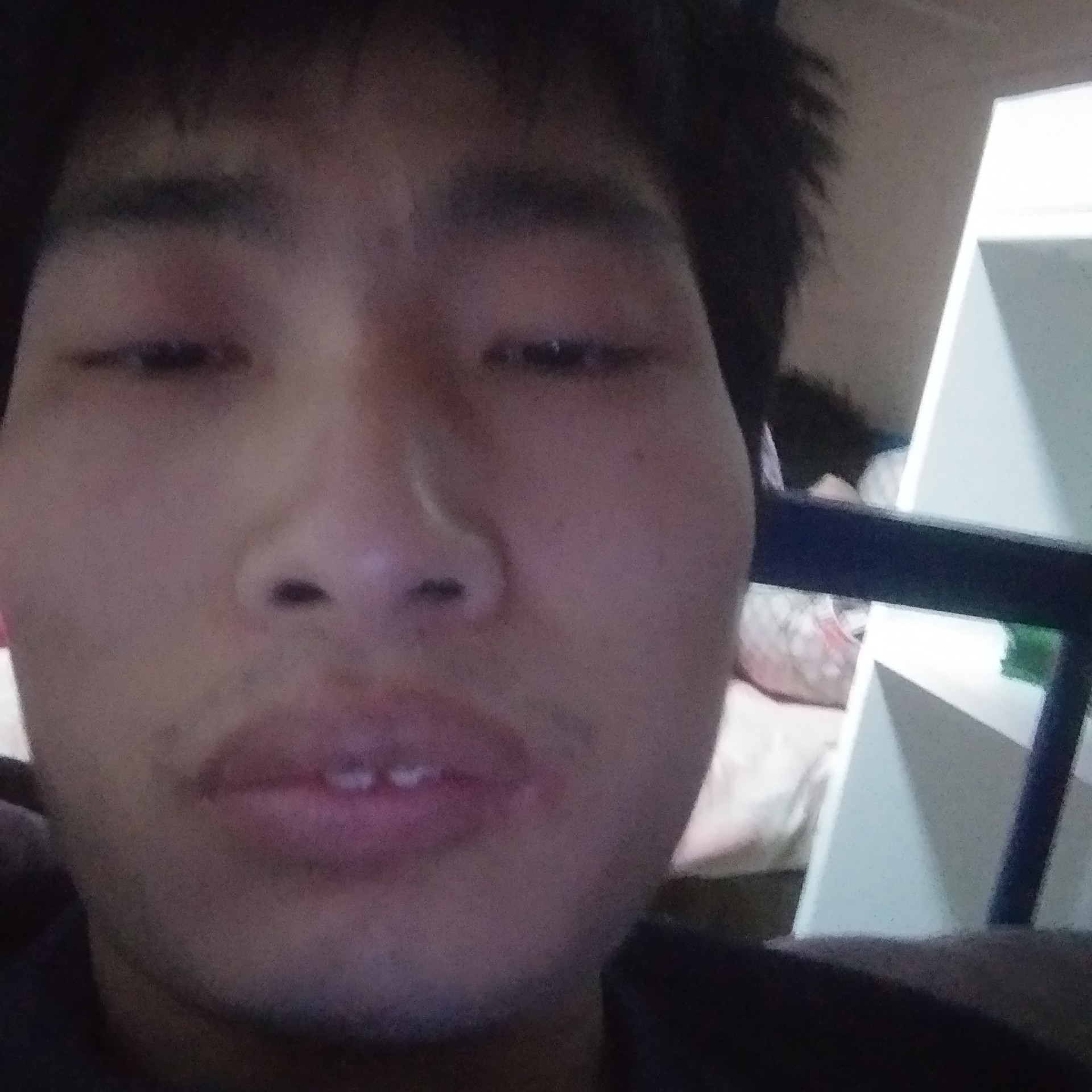 向日葵打无私的照片