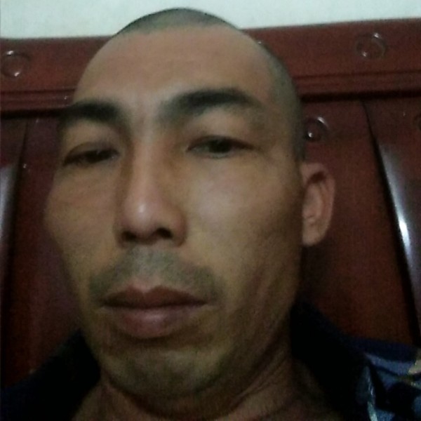 独寂愿蓝莓的照片