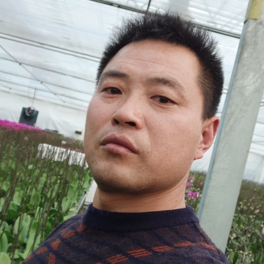 爱要诚信的照片