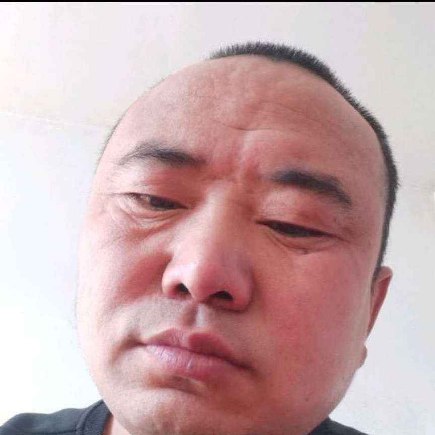 小懒猪多么受伤的照片