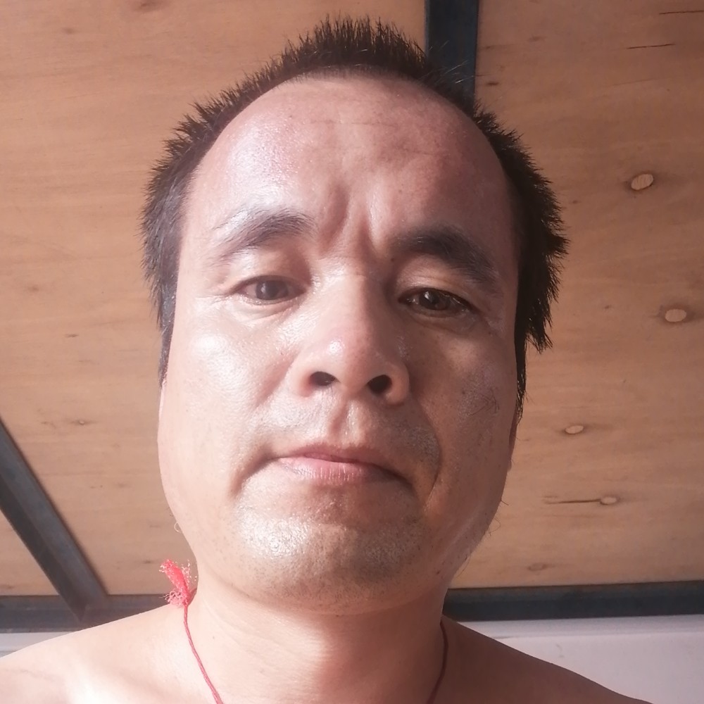 犹豫停止汽车的照片