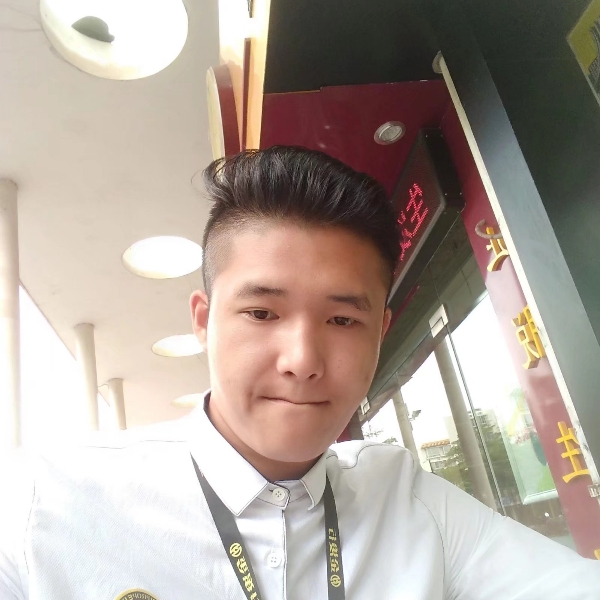 乌龟积极的照片