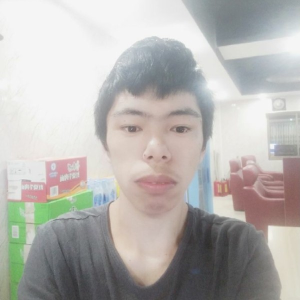生动小海豚的照片