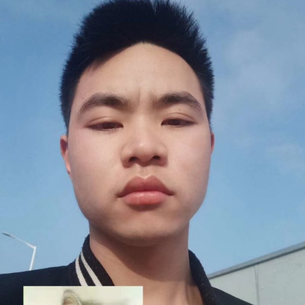 大意保卫小馒头的照片