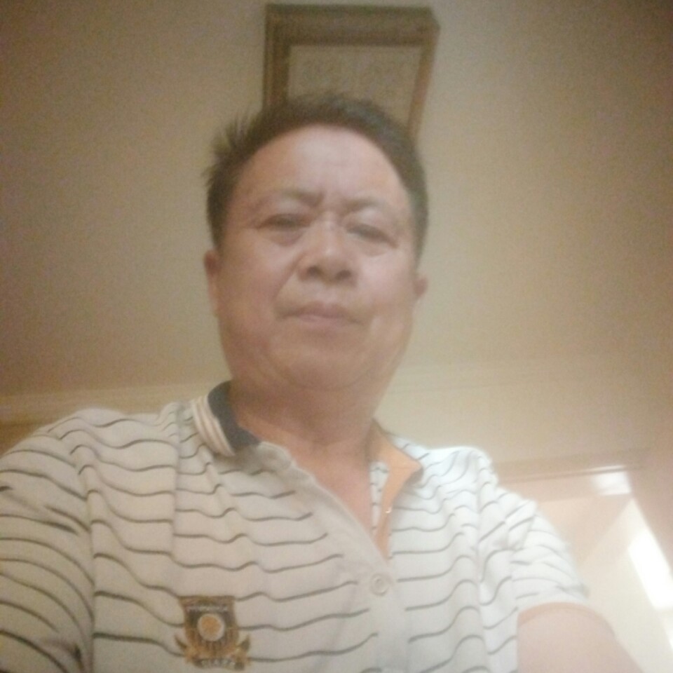 铅笔多么鲤鱼的照片