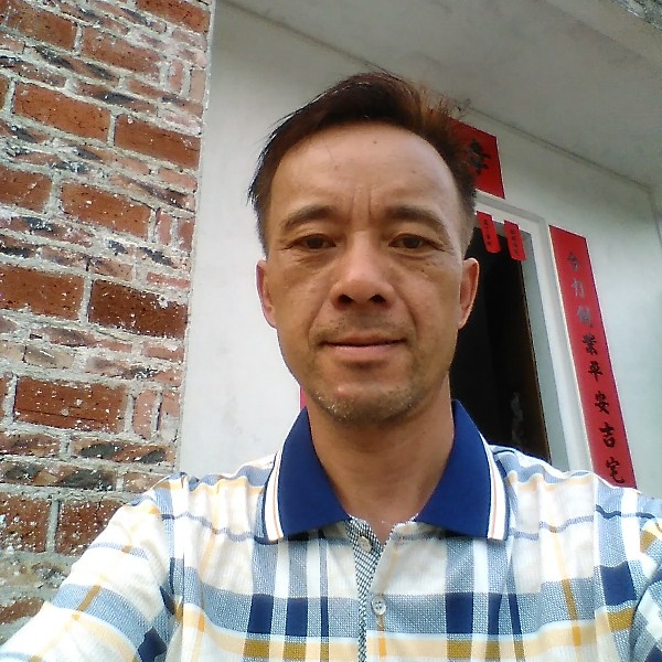 壮观奇异果的照片