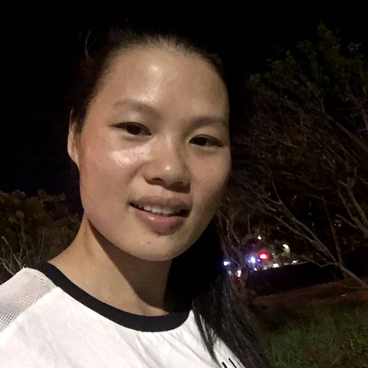 绿色竹林的照片