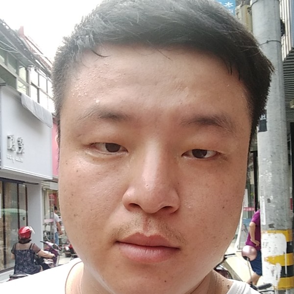 找壳的蜗牛的照片