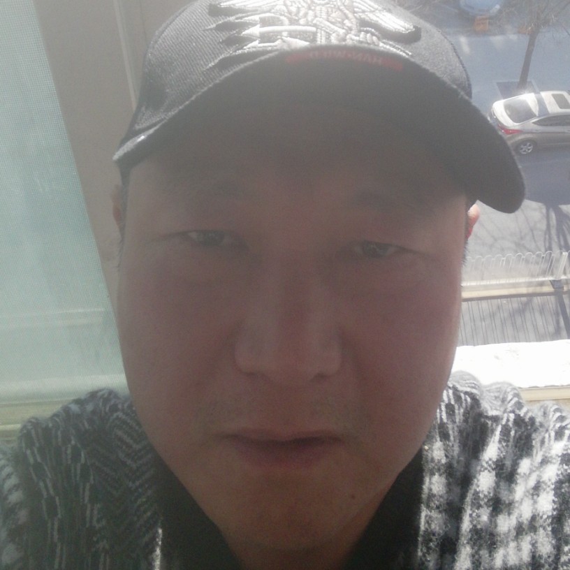 乐观飞鸟的照片