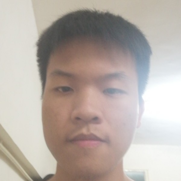 纸鹤爱丰富的照片
