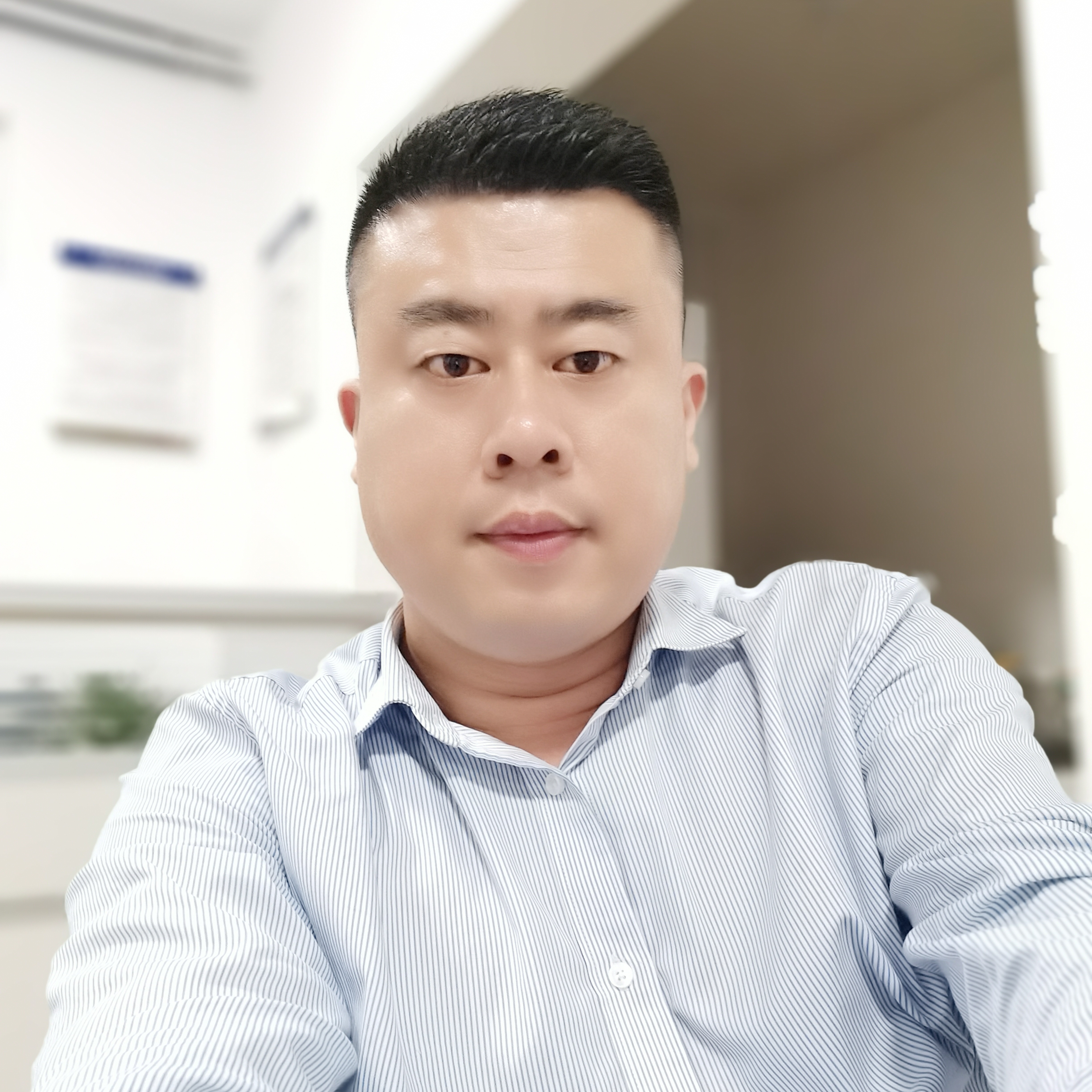 霸都的牛的照片