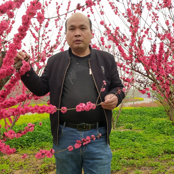 幸福回首冬瓜的照片
