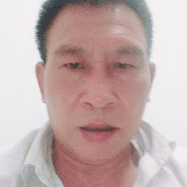 阳光苦恋胡萝卜的照片
