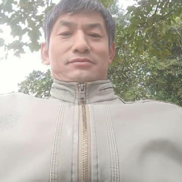 纸鹤魁梧的照片