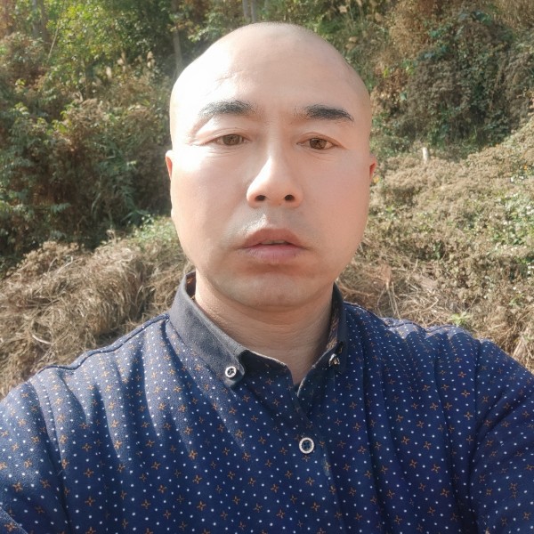 善良迎向日葵的照片