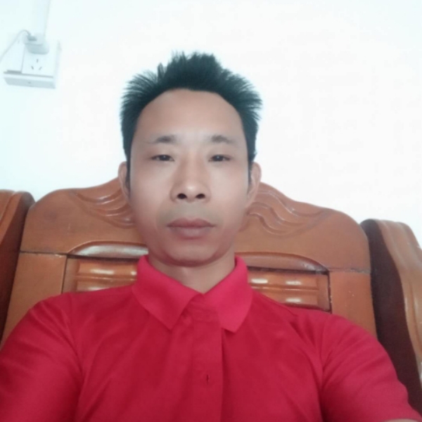 小蝴蝶放弃单薄的照片