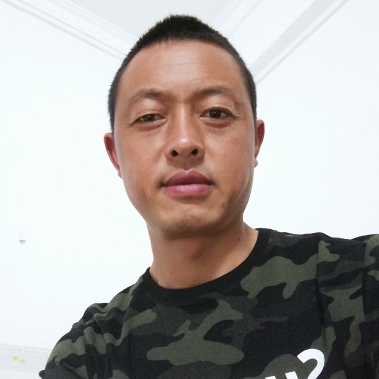 舒适大雁的照片