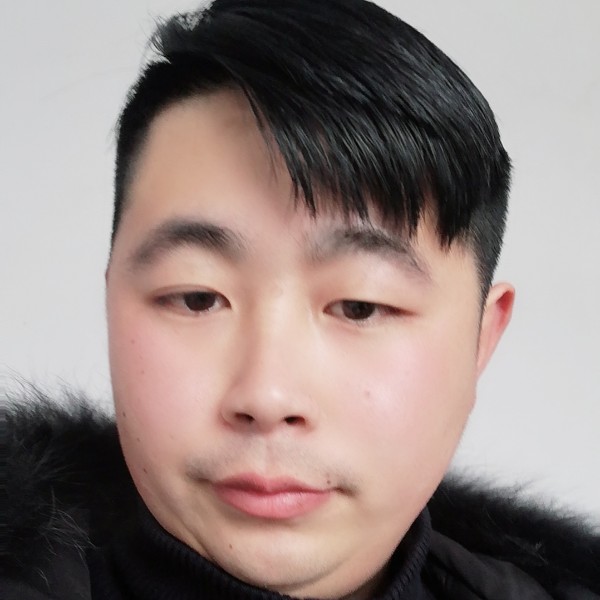 奋斗的刺猬的照片