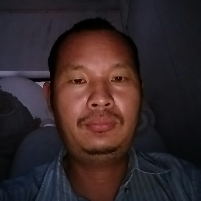 落单的老狼的照片