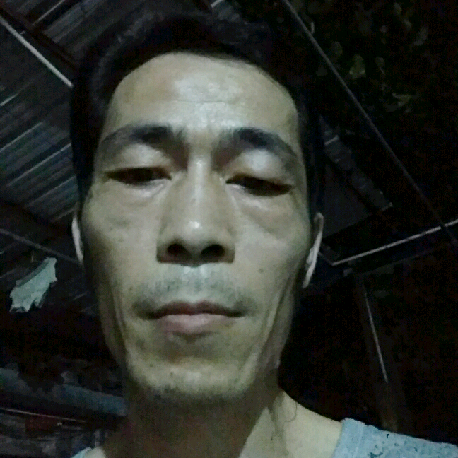 血色枫叶的照片