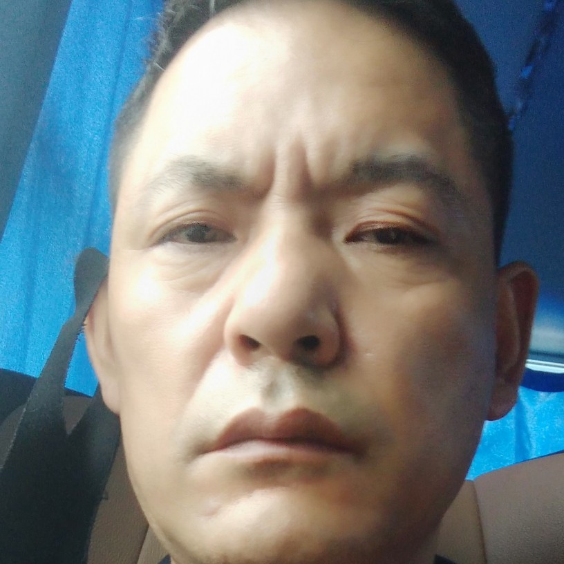 蝎虎的照片