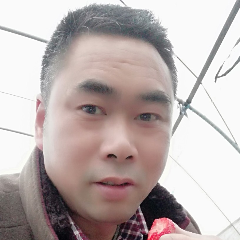 拯救者的照片