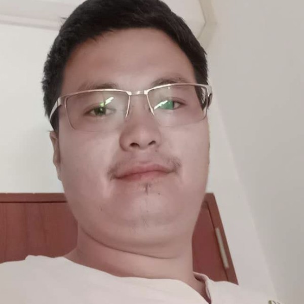 小巧漫步百合的照片