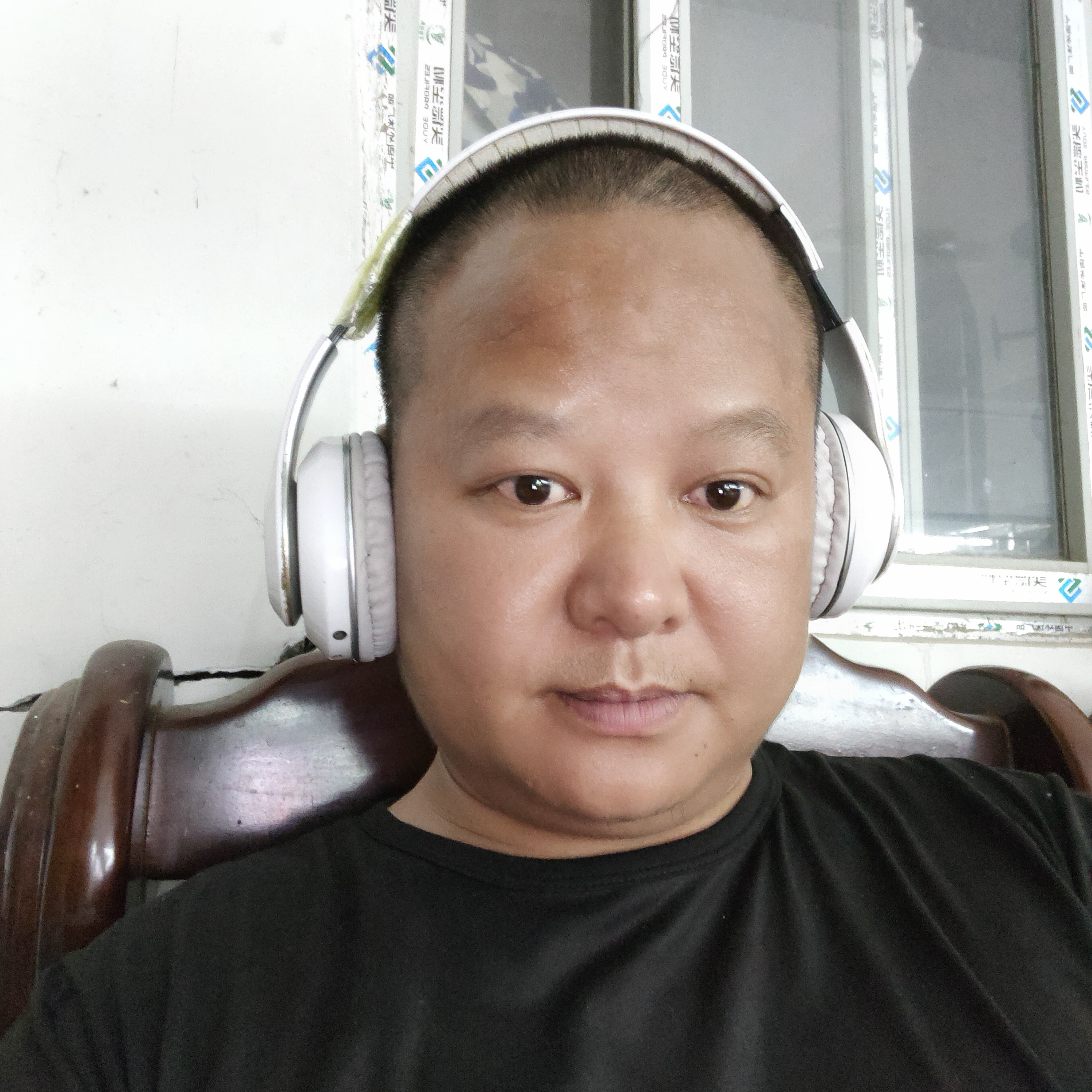 高高蘩藜352的照片