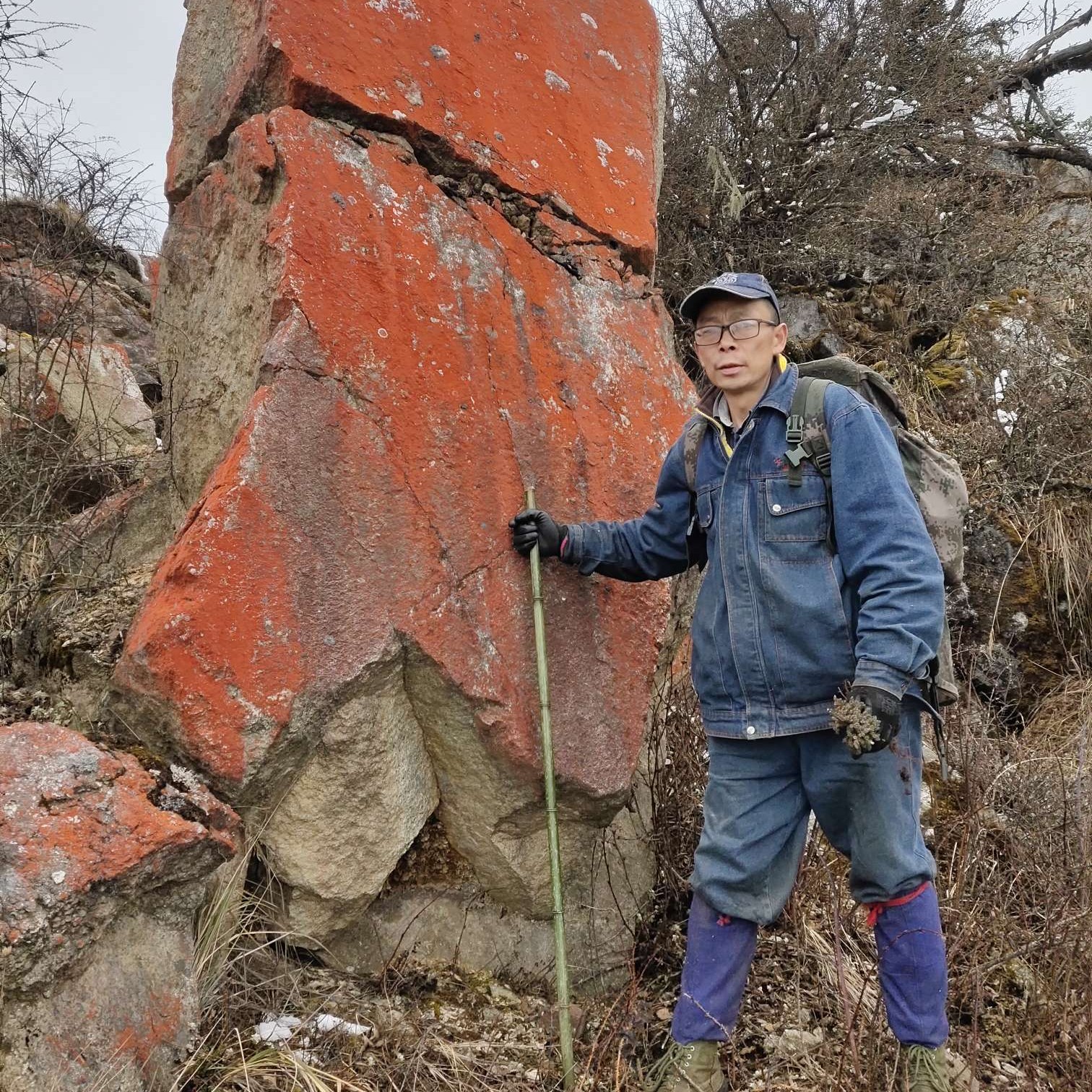 蜀西山野村夫的照片