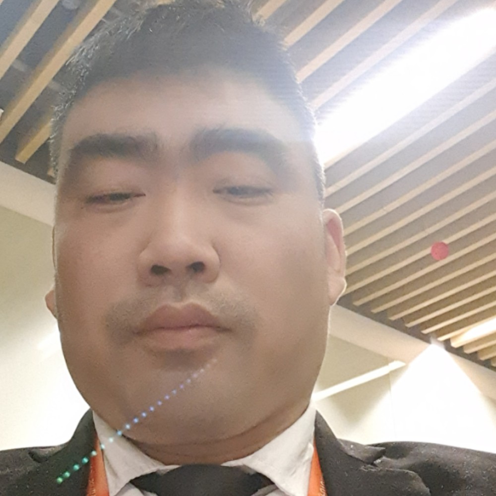活力还仙人掌的照片