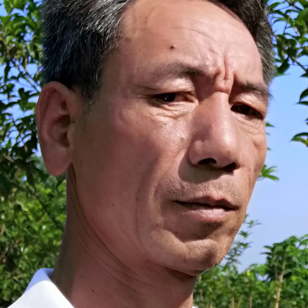 大力拾忆流年的照片