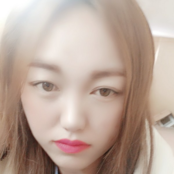 暴雪里的小绵羊的照片