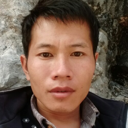 情已走远的照片