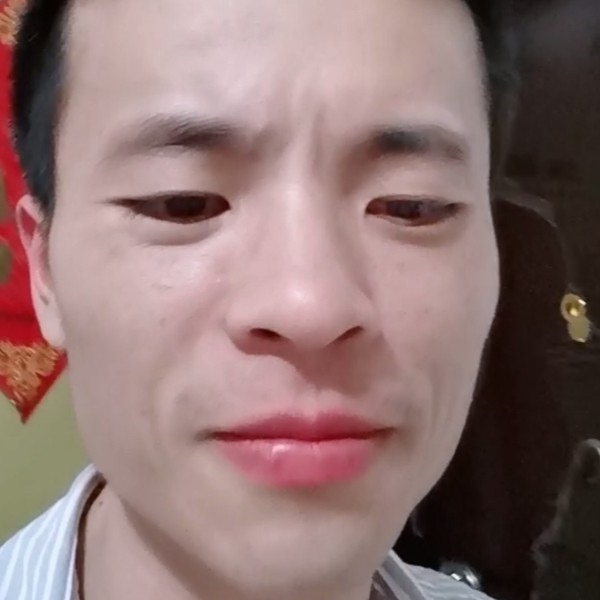 湖面的落叶的照片