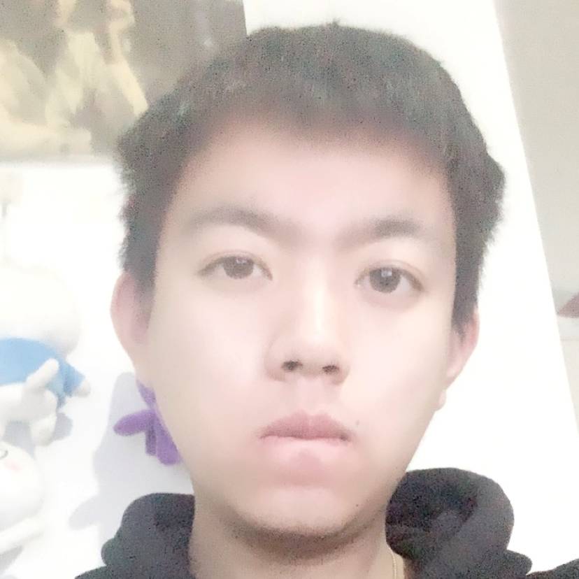 河马漫步活泼的照片