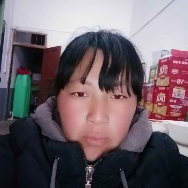 鑫希贸易的照片