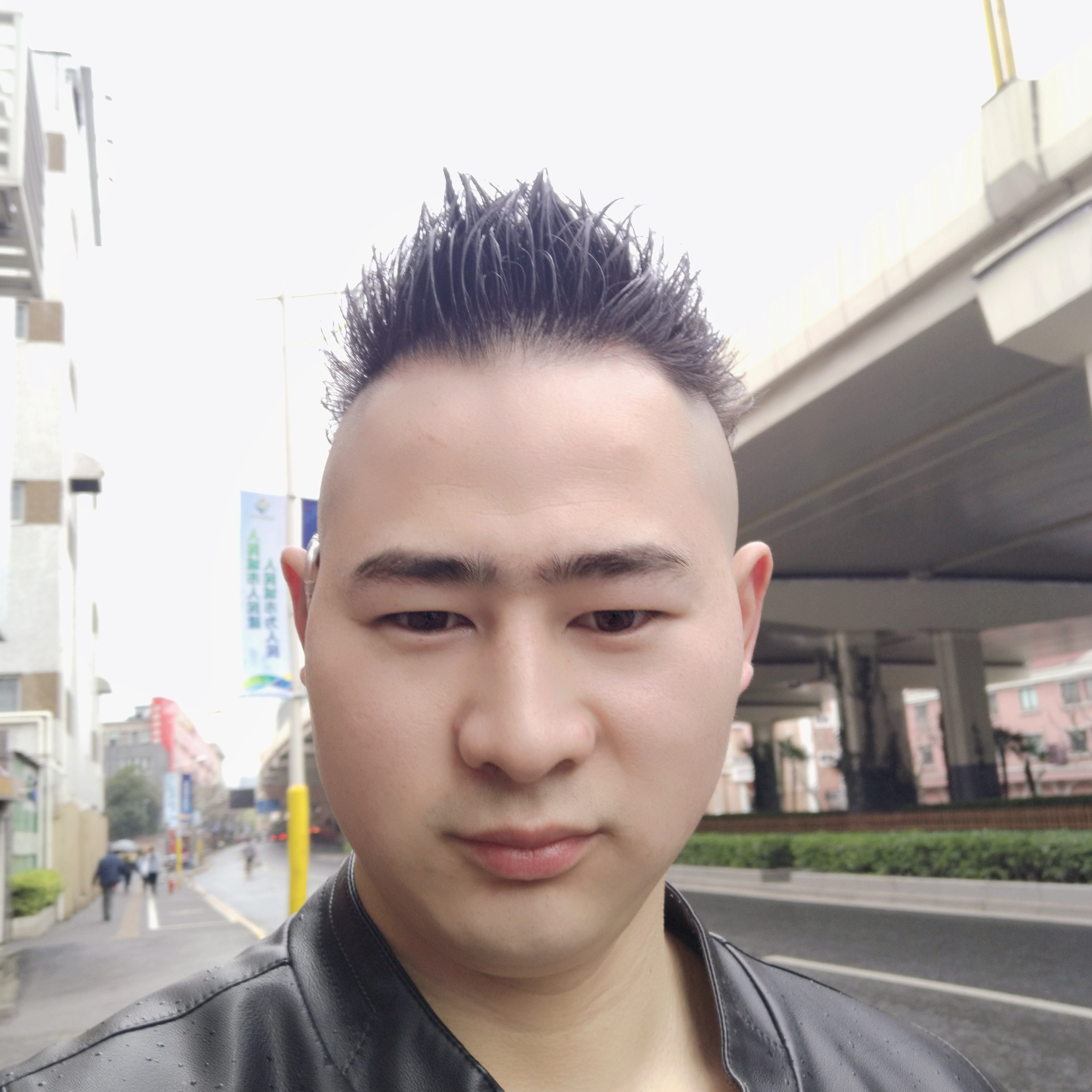迷离还猫咪的照片