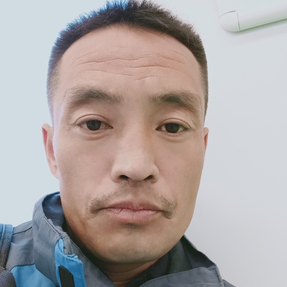 孤独的狼01的照片