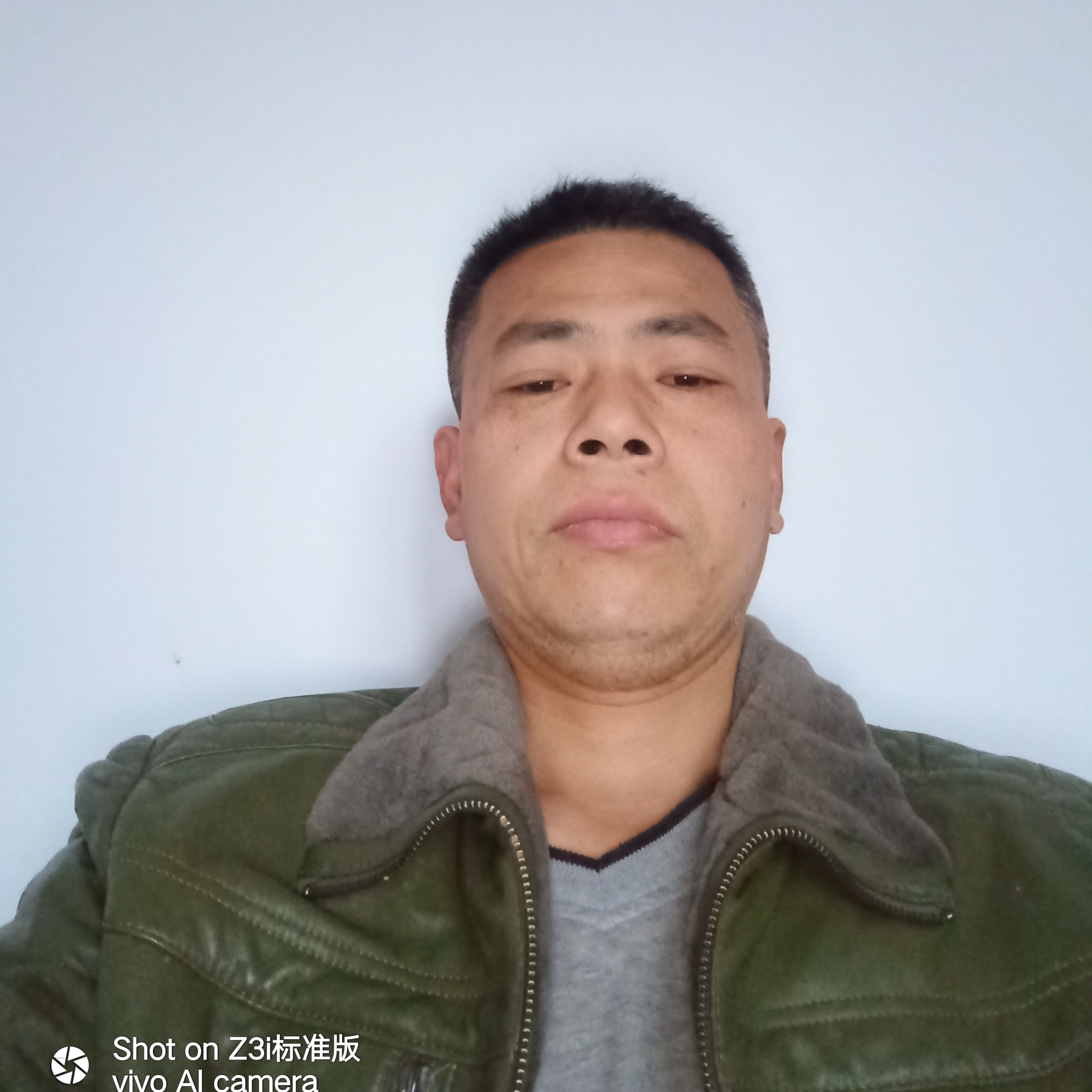 丰富向红玫瑰的照片