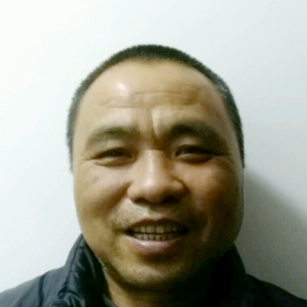 小蜜蜂单纯的照片