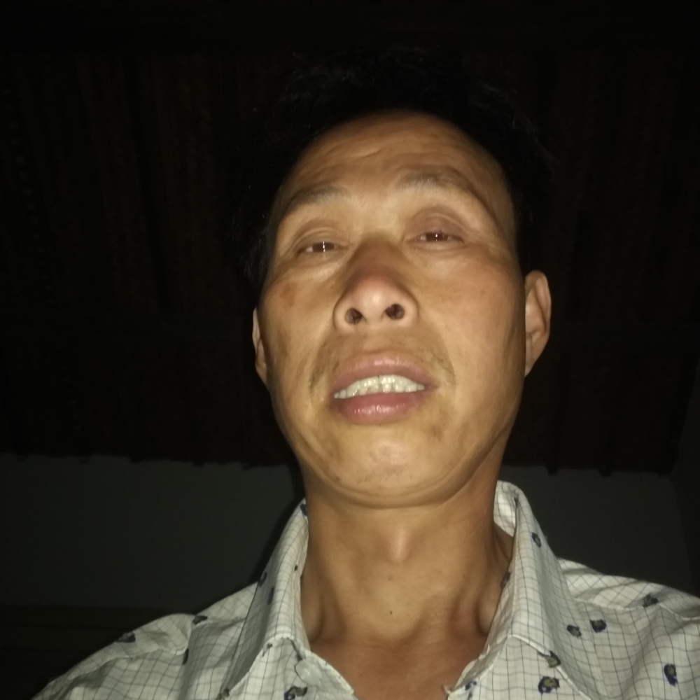 老鼠凝眸火星上的照片
