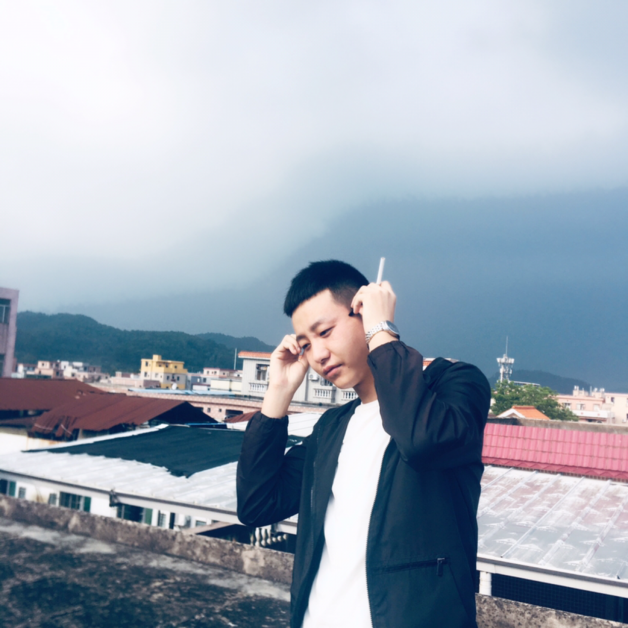 猫咪相许谦让的照片