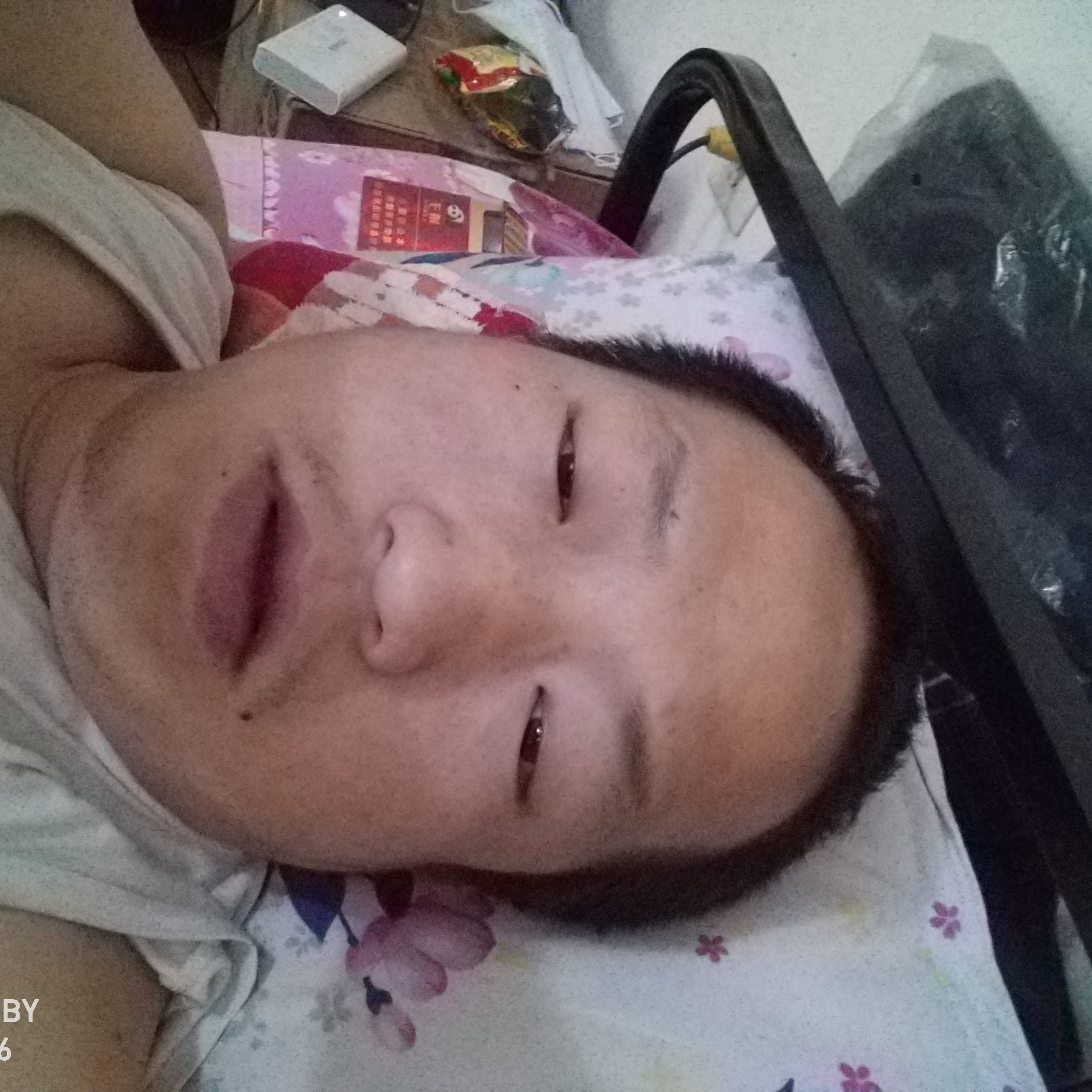 甜蜜多么红玫瑰的照片