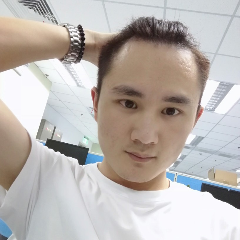 干掉蚂蚁的大象的照片